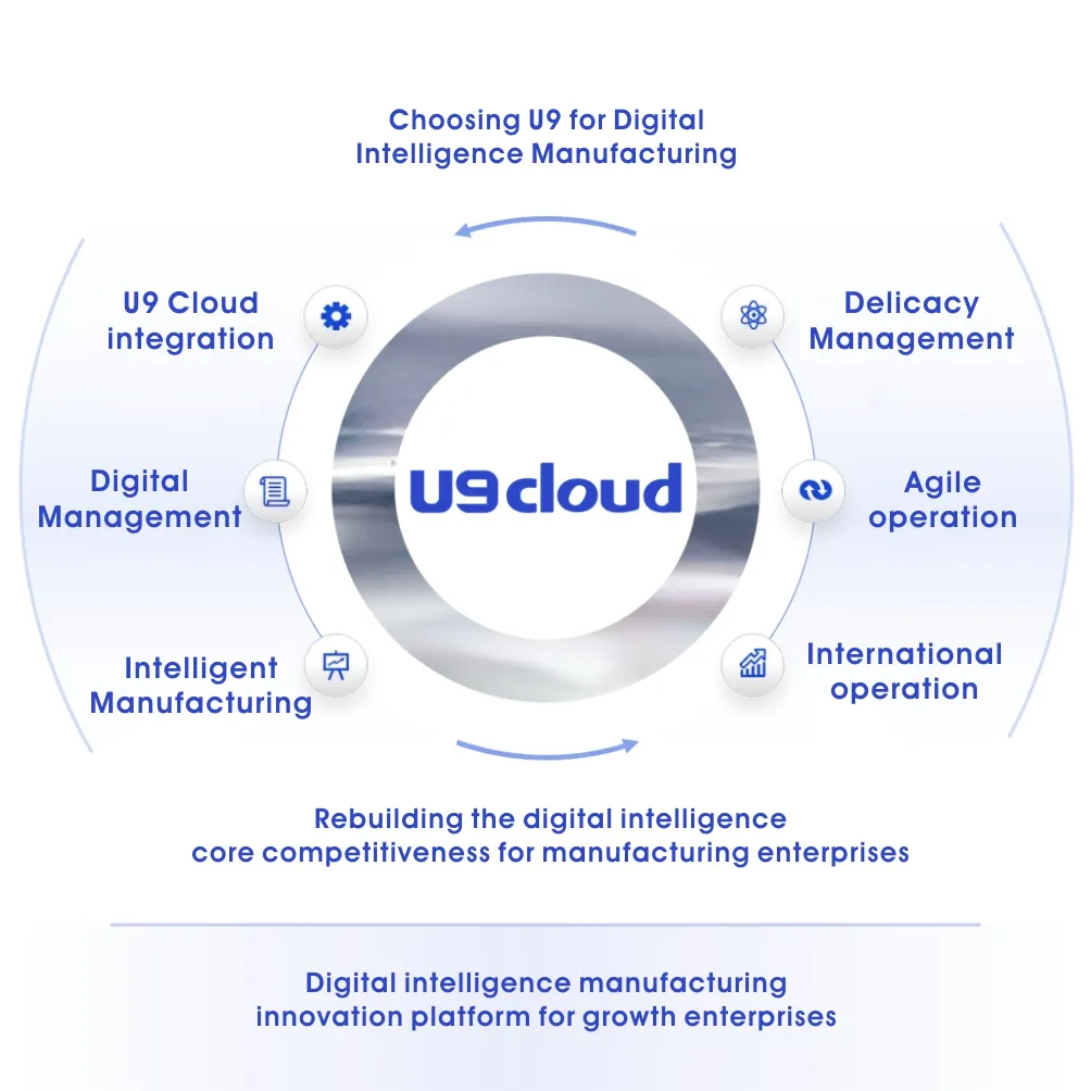 Enterprise Resource Planning
