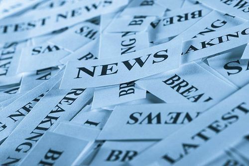 ¿Cuáles son las herramientas de jardinería doméstica?