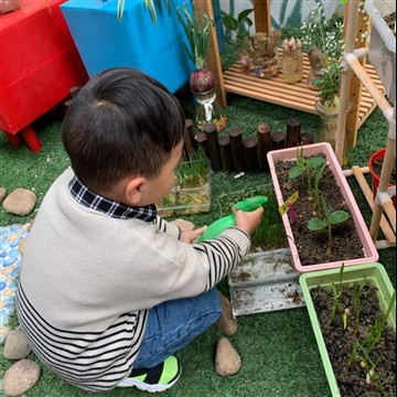 Cómo cultivar la diversión de jardinería infantil