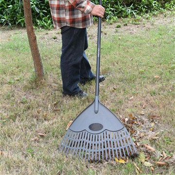 ¿Cómo cuidamos la Vinca en la temporada de invierno?