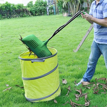 Verduras de cosecha rápida para cultivar en el jardín