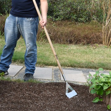 Los beneficios de comenzar un huerto
