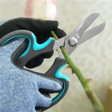 Comenzando jardín de flores