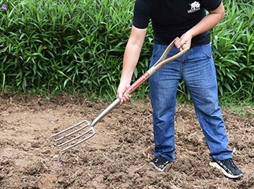 Breve introducción de la cultura del jardín ruso