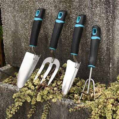 Mejora tu espacio con hermosas flores