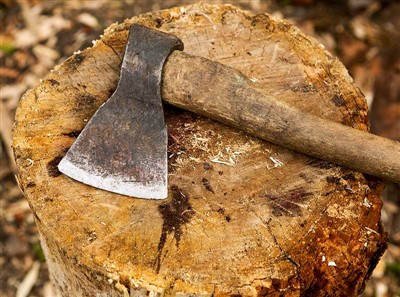 Herramientas para cortar árboles y equipo de seguridad