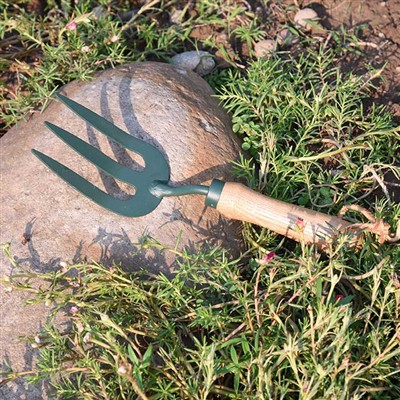 Las aventuras cotidianas de las herramientas de jardín