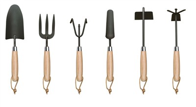 Plantando tomates en casa