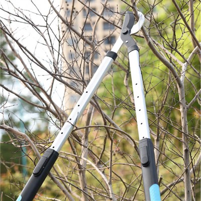 Jardinería para personas ocupadas: consejos para cuidar su jardín con tiempo ...