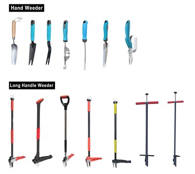 Cultivando lo verde: adoptando la sostenibilidad en su jardín