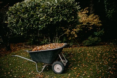 Herramientas esenciales para la jardinería de otoño: cómo cosechar y limpiar ...