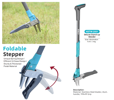 Celebrando el Festival del Medio Otoño en todo el mundo: una armonía entre tr...