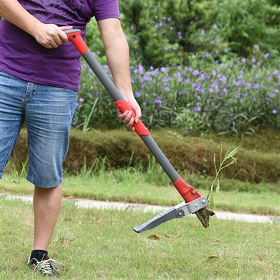 ¿Cómo quitar las malas hierbas sin agacharse?