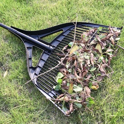 leaf collection-1 leaf collection-1